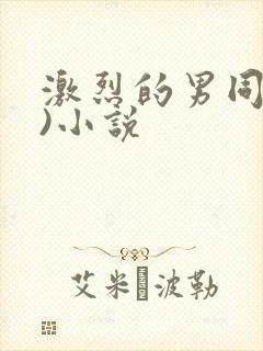 激烈的男同(h)小说