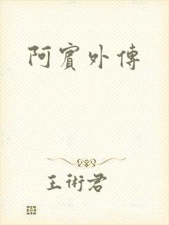 阿宾外传