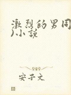 激烈的男同(h)小说