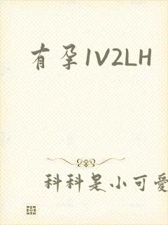有孕1V2LH