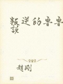 叛逆的鲁鲁修小说封面