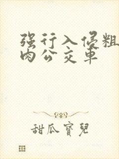 强行入侵粗暴h肉公交车