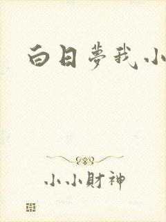 白日梦我小说封面