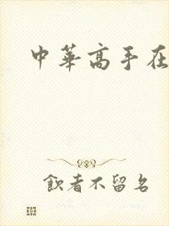 中华高手在异世