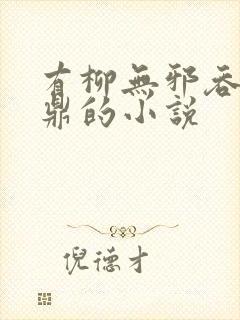 有柳无邪吞天神鼎的小说