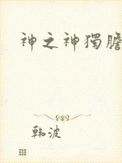 神之神独胆王封面