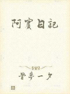 阿宾日记