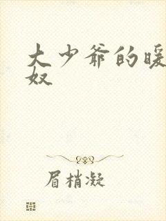 大少爷的暖床小奴