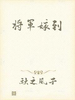 将军嫁到