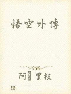 悟空外传封面