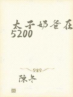 太子奶爸在花都5200封面