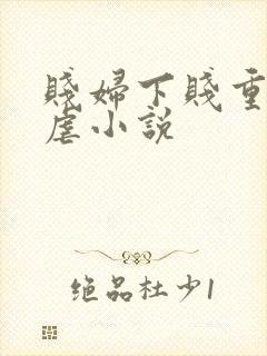贱妇下贱重口玩虐小说封面