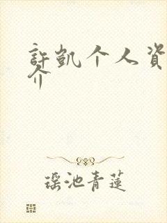 许凯个人资料简介