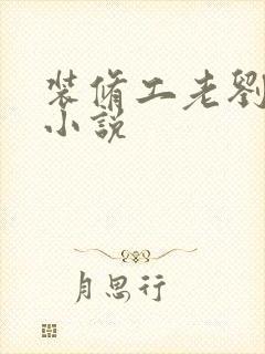 装修工老刘林雪小说