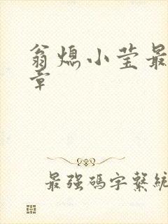 翁熄小莹最新节章