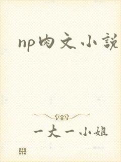 np肉文小说