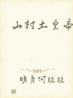 山村土皇帝封面