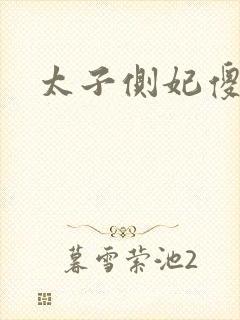 太子侧妃傻乎乎封面