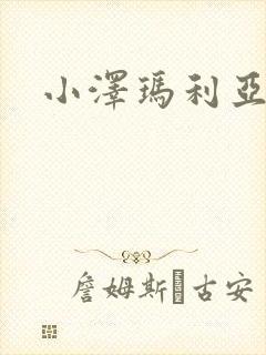 小泽玛利亚作品