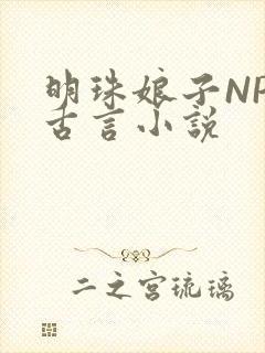 明珠娘子NPC古言小说