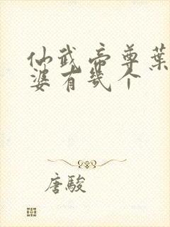 仙武帝尊叶辰老婆有几个