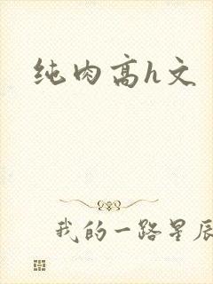 纯肉高h文