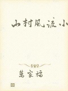 山村风流小说封面