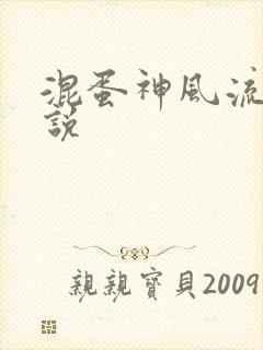 混蛋神风流史小说