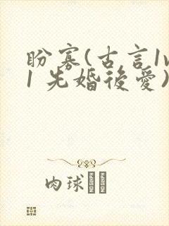 盼寡(古言1v1 先婚后爱)