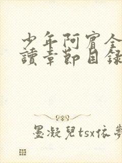 少年阿宾全文阅读章节目录封面