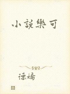 小说乐可封面