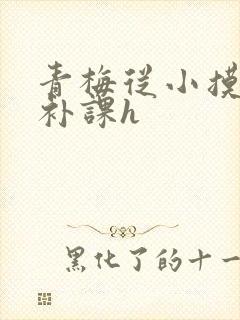 青梅从小摸到大补课h封面