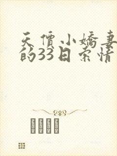 天价小娇妻总裁的33日索情封面