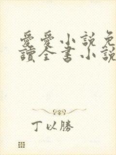 爱爱小说免费阅读全书小说乡村