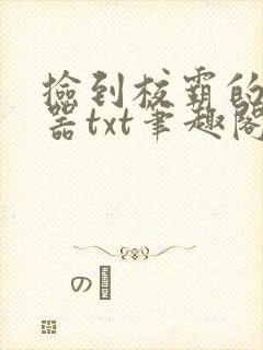 捡到校霸的遥控器txt笔趣阁