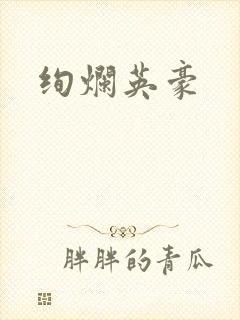 绚烂英豪封面