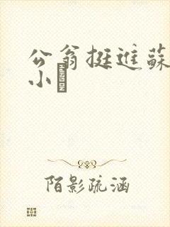 公翁挺进苏玥的小泬