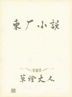 东厂小说封面
