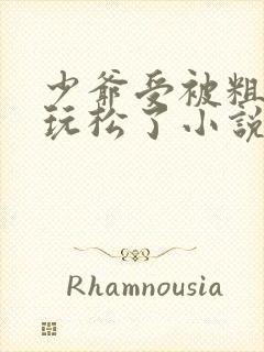 少爷受被粗汉H玩松了小说