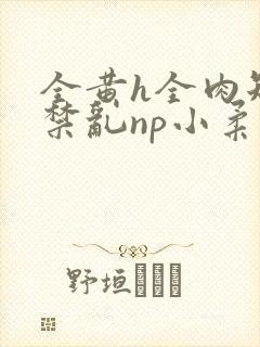 全黄h全肉短篇禁乱np小柔