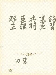 群臣共享的小公主银羽免背刺封面