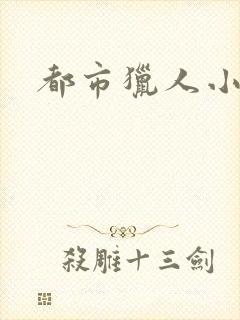 都市猎人小说封面