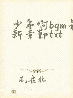 少年啊bgm最新章节txt