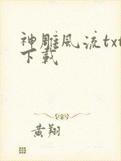 神雕风流txt下载