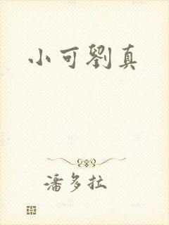 小可刘真封面