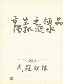 重生之极品仙尊 独孤逝水