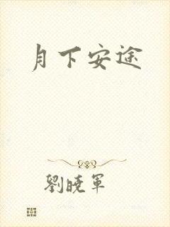 月下安途封面