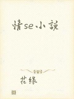 情se小说封面