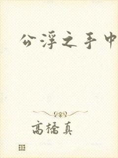 公浮之手中字5