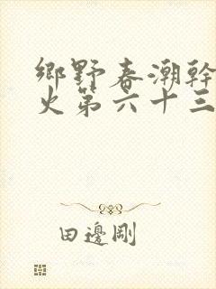 乡野春潮干柴烈火第六十三章